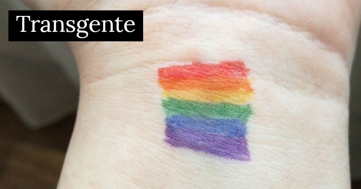 Transgente - Gapac Criciuma